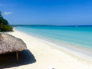 white sands negril jamaica,White Sands Negril Jamaica: A Paradise Unveiled