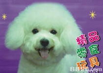 dog grooming in sand springs ok,Discover the World of Dog Grooming in Sand Springs, OK