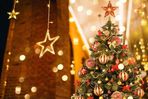 west palm sand christmas tree,History of the West Palm Beach Christmas Tree