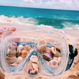 pink sand,Understanding the Beauty of Pink Sand