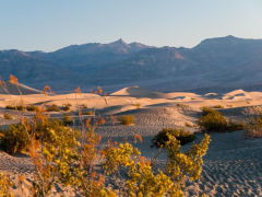 mesquite flat sand dunes death valley national park,Mesquite Flat Sand Dunes, Death Valley National Park