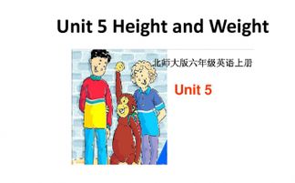 unit weight of sand,Understanding the Unit Weight of Sand: A Comprehensive Guide