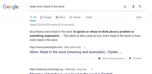 head in sand,Head in the Sand: A Comprehensive Guide