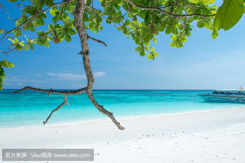 white sand beaches in puerto rico,White Sand Beaches in Puerto Rico: A Paradise Unveiled