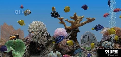 marine aquarium sand,Understanding Marine Aquarium Sand: A Comprehensive Guide