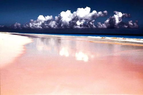 pink sand beach bahamas excursion,Discover the Pink Sand Beach in the Bahamas