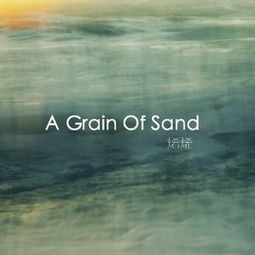 size of a sand grain,Size of a Sand Grain: A Detailed Multidimensional Overview