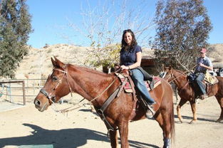 cottonwood canyon road sand dunes and campgrounds,Cottonwood Canyon Road Sand Dunes and Campgrounds: A Detailed Guide