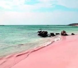 what beach has pink sand,What Beach Has Pink Sand?