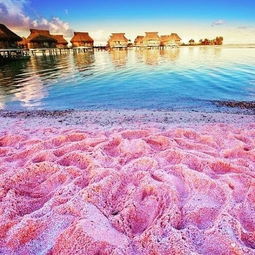 pink sand in the bahamas,Pink Sand in the Bahamas: A Unique and Enchanting Experience