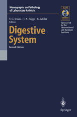 sand star digestive system diagram,Sand Star Digestive System Diagram: A Detailed Overview