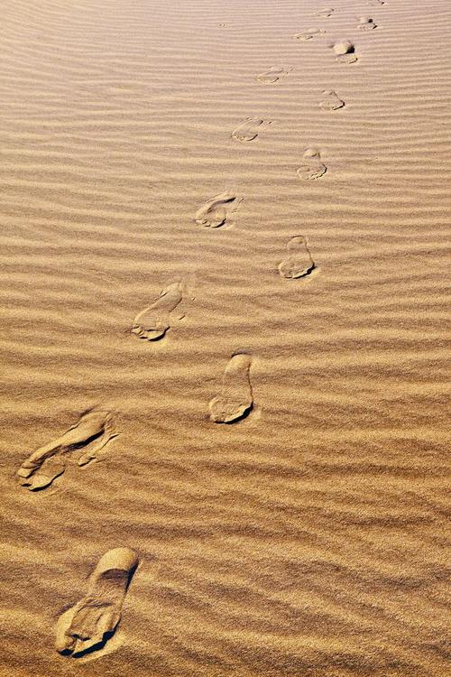 footsteps in the sand,Footsteps in the Sand: A Journey Through Time and Memory