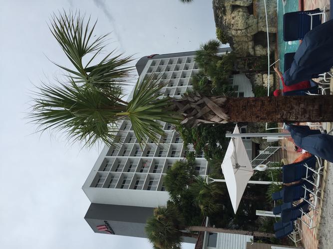 marriott suites on sand key,Location and Accessibility