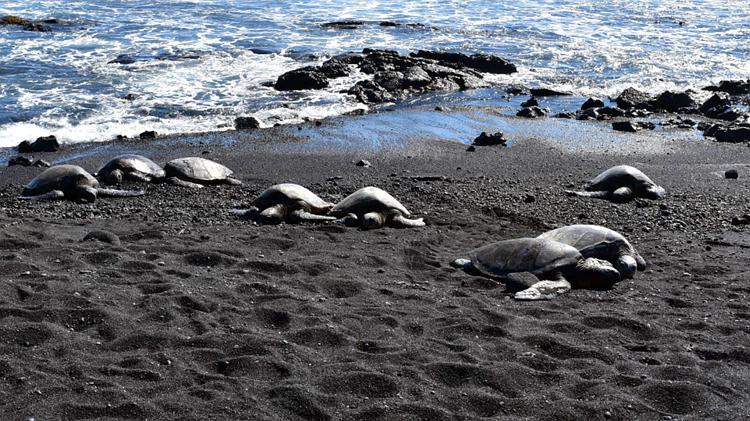 punalu’u black sand beach,Geological Marvel