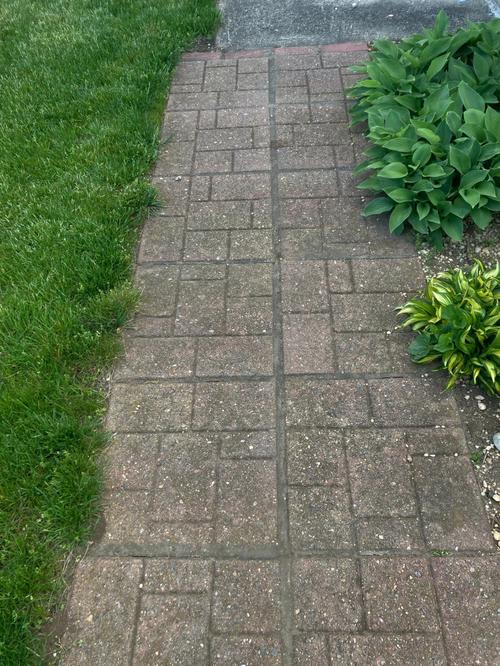 gator maxx polymeric sand,Gator Maxx Polymeric Sand: A Comprehensive Guide