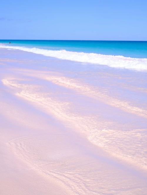 coral sands bahamas,Coral Sands Bahamas: A Paradise Unveiled