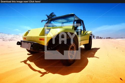 sand buggy,Sand Buggy: A Detailed Multidimensional Introduction