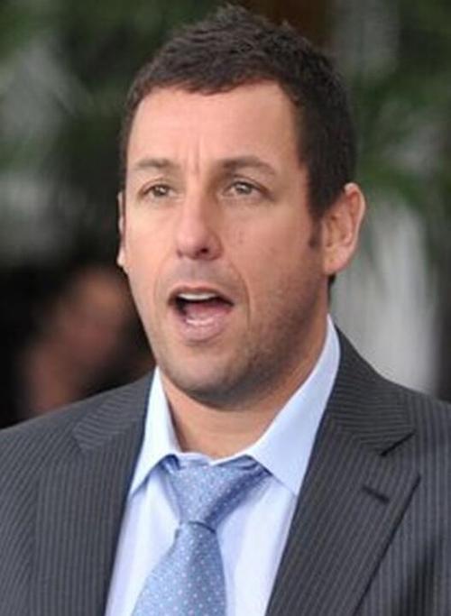 adam sander,Adam Sandler: A Multidimensional Overview