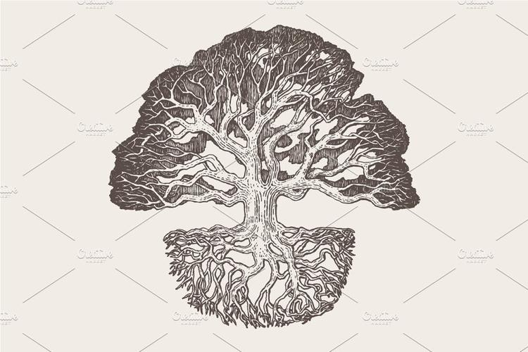 sand oak tree easy simple drawing,Sand Oak Tree Easy Simple Drawing