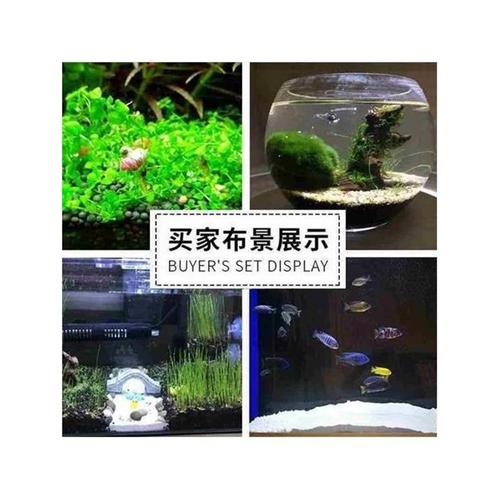 aquarium fish tank sand,Aquarium Fish Tank Sand: A Comprehensive Guide