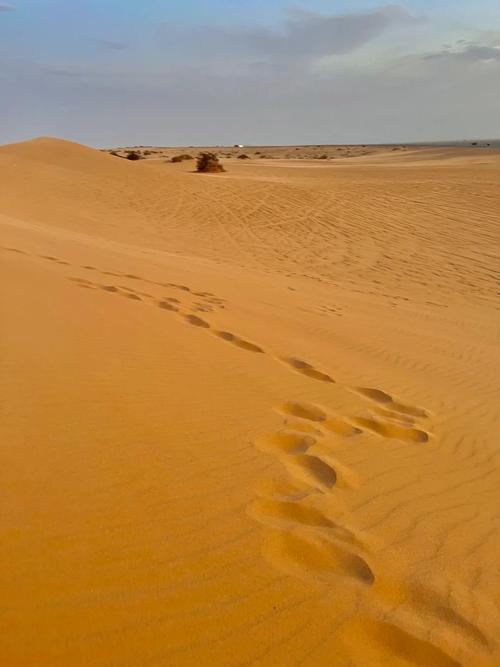 ohv non residence imperial sand dunes,Ohv Non Residence Imperial Sand Dunes: A Detailed Multidimensional Introduction