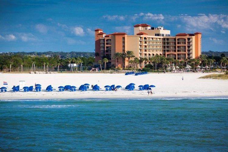 hotel sheraton sand key resort,Accommodations