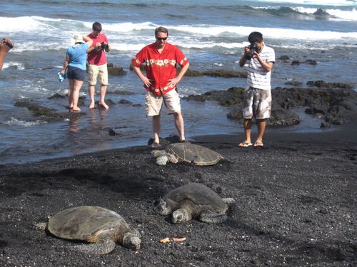 black sand beaches,Black Sand Beaches: A Unique and Enchanting Natural Wonder