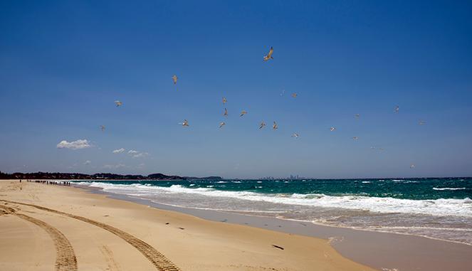 golden sands carolina beach,Scenic Beauty and Serenity