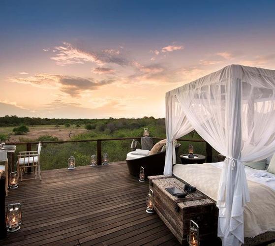 sabi sands,Discovering the Essence of Sabi Sands