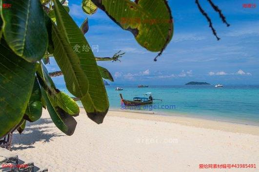 beach sand,Understanding Beach Sand: A Detailed Guide