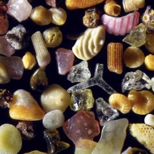 sand under microscope,Sand Under Microscope: A Detailed Exploration