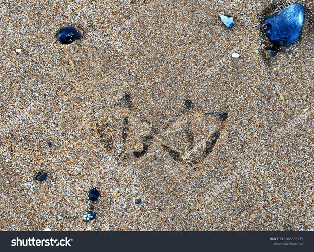 footprints in the sand beach scene canvas art,History and Origin