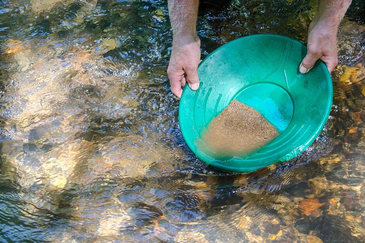 are sand sifting starfish freshwater or saltwater,Are Sand Sifting Starfish Freshwater or Saltwater Creatures?