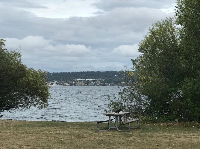 magnuson park sand point way northeast seattle wa,Magnuson Park Sand Point Way Northeast Seattle WA: A Comprehensive Guide