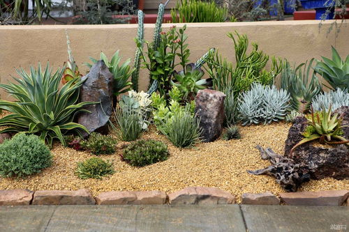 sand yard ideas,Sand Yard Ideas: Transforming Your Outdoor Space