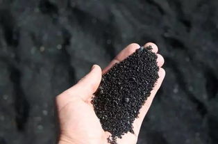 hawaii black sand,Origins of Hawaii Black Sand