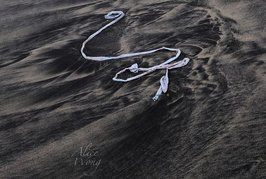 black sand beach in florida,Black Sand Beach in Florida: A Unique Coastal Gem