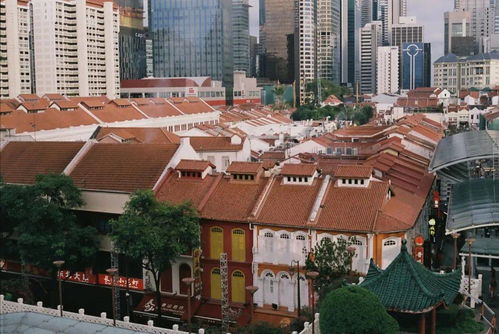 marina bay sands rooftop,Architecture and Design