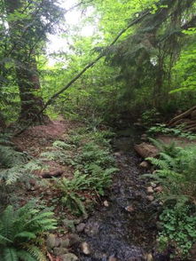 sand canyon hiking trail,Sand Canyon Hiking Trail: A Detailed Multi-Dimensional Guide