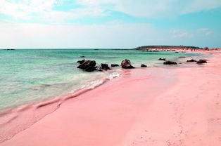 eleuthera island pink sand beach,Eleuthera Island Pink Sand Beach: A Multidimensional Paradise