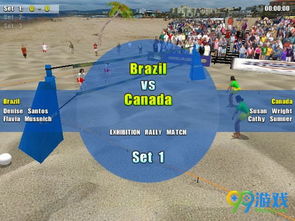 beach volleyball sand,Beach Volleyball Sand: A Comprehensive Guide