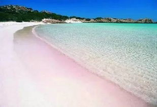 bahama pink sand beach,Geography and Location