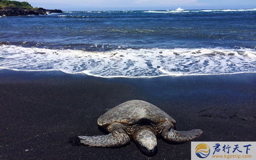 punalu’u black sand beach park,Geological Wonders