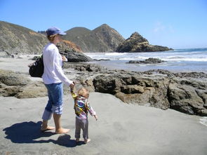 pfeiffer beach california purple sand,Geological Wonders