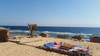 nuweiba beach sand,Nuweiba Beach Sand: A Detailed Multidimensional Introduction