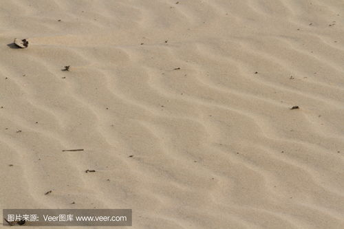 microscopic sand photo,Microscopic Sand Photo: A Window into the Hidden World