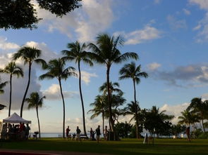 kamaole sands resort kihei maui,Accommodations