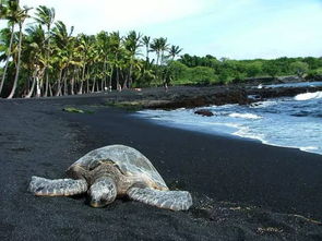 orange sand beach hawaii,Geography and Location