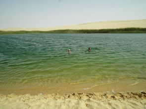 great sand dunes camping reservations,Great Sand Dunes Camping Reservations: A Comprehensive Guide