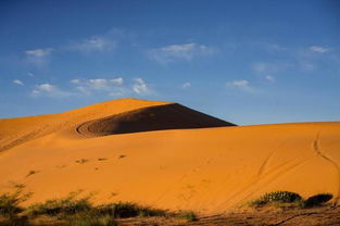 coral pink sand dunes sandboarding,Coral Pink Sand Dunes Sandboarding: An Unforgettable Experience